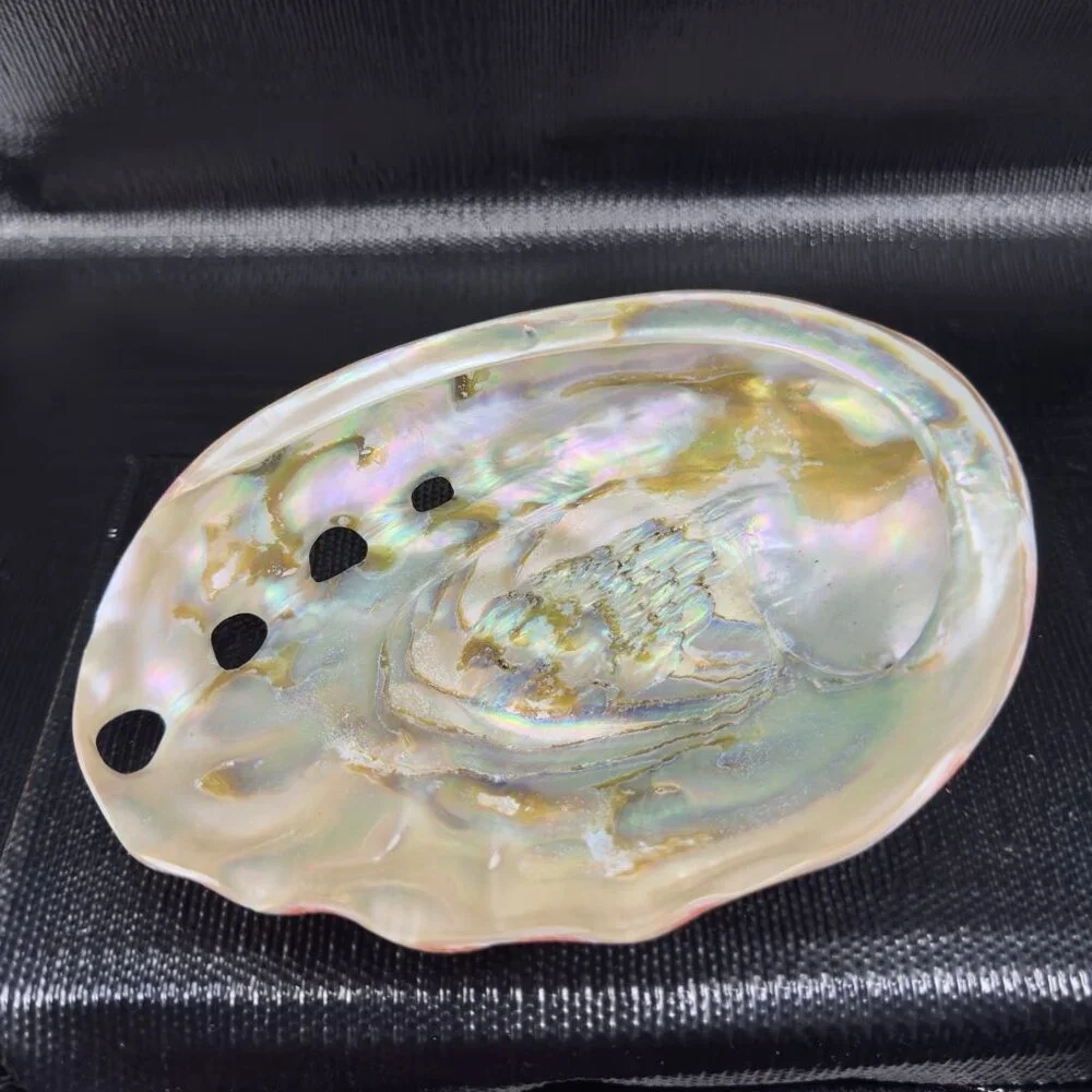 Natural Abalone Shell Large Dish Bowl Container Trinket Holder Iridescent Smooth